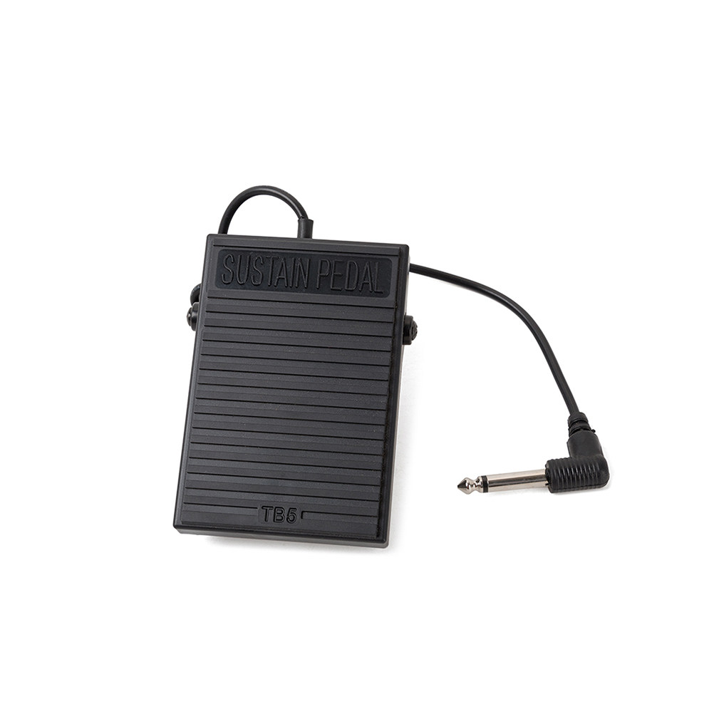 Universal Black Sustain Pedal  - đánh giá và giá Piano Sustain Pedal