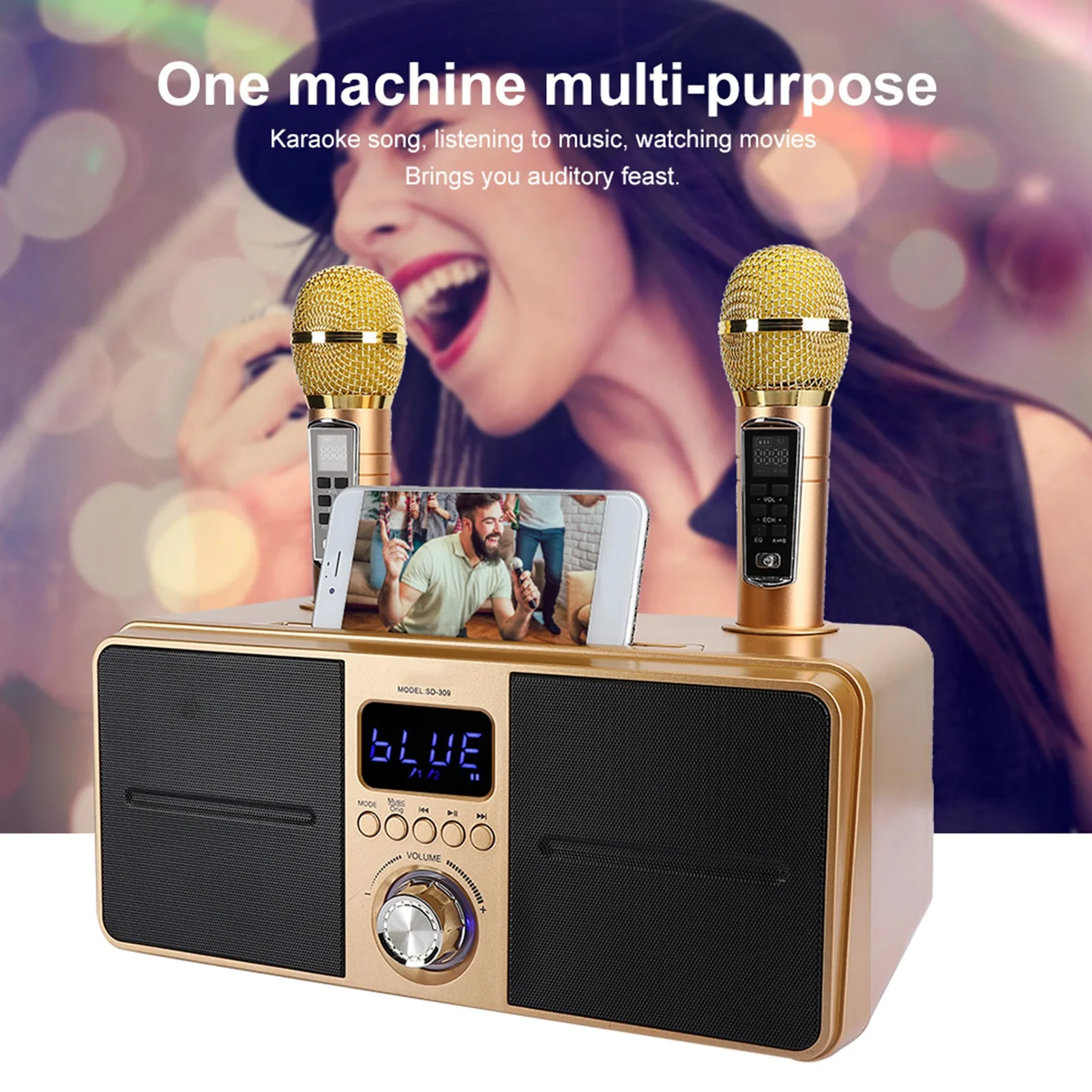 Professional Family KTV Speake - đánh giá và giá Apple Music Audio Quality