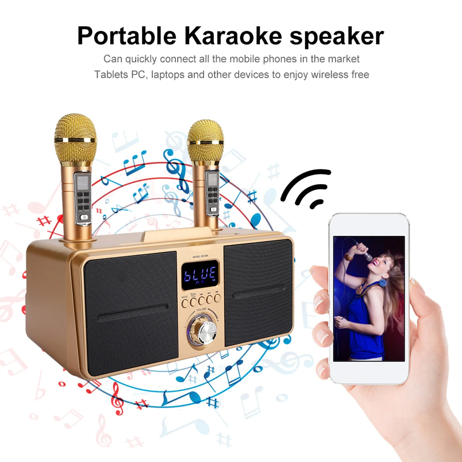 Professional Family KTV Speake - đánh giá và giá Apple Music Audio Quality
